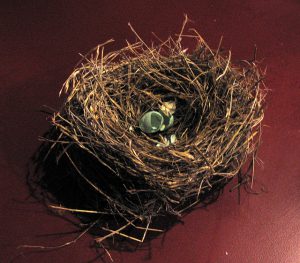 het lege nest syndroom